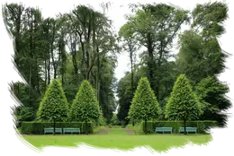 Empresa de tala y podas en altura Desbroces y jardinería
